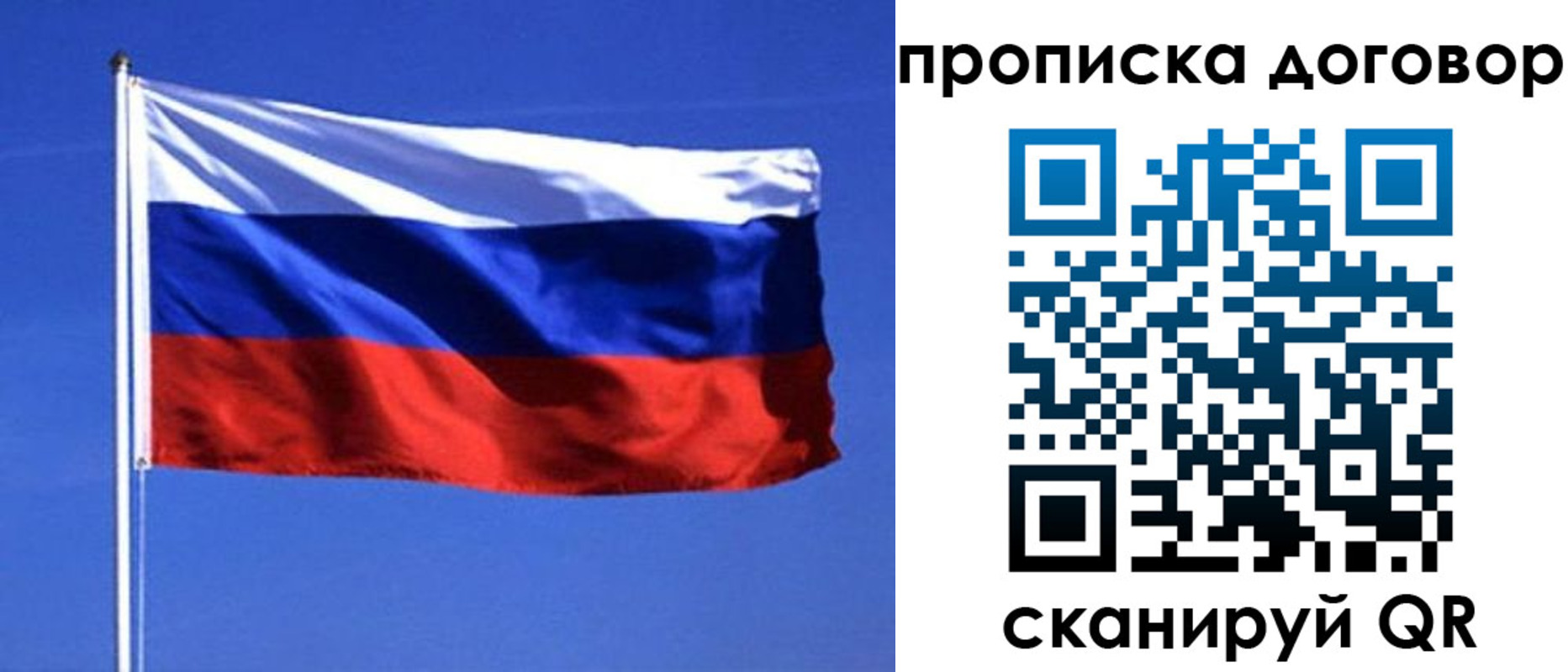 прописка поиск в Новгородской области